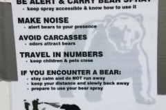 Bear Sign